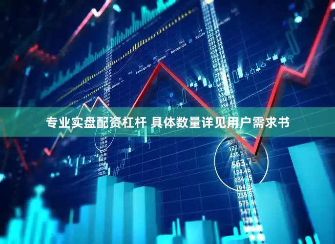 专业实盘配资杠杆 具体数量详见用户需求书