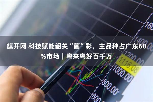 旗开网 科技赋能韶关“菌”彩,主品种占广东60%市场|粤来粤好百千万