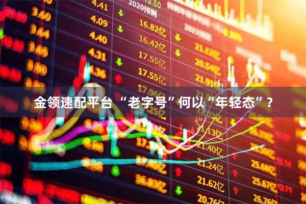 金领速配平台 “老字号”何以“年轻态”？