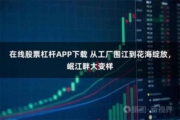 在线股票杠杆APP下载 从工厂围江到花海绽放，岷江畔大变样