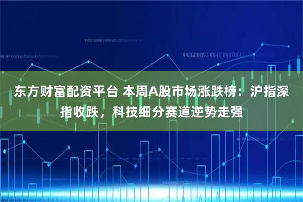 东方财富配资平台 本周A股市场涨跌榜:沪指深指收跌,科技细分赛道逆势走强